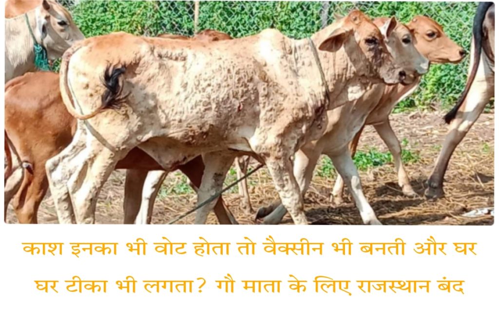 लंपी स्किन रोग से गाय माता को बचाने के लिए 15 सितंबर को राजस्थान बंद | 15 September Rajasthan Band News