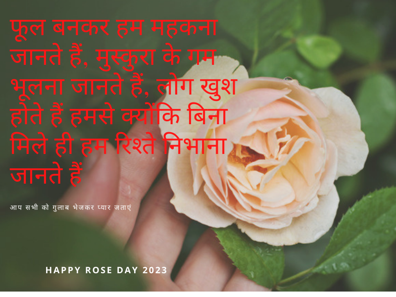 Happy Rose Day 2023 Shayari In Hindi: गुलाब दिवस पर शायरी For गर्लफ्रेंड, बॉयफ्रेंड, पति ,पत्नी