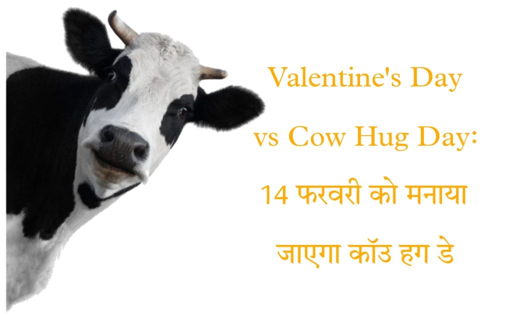 Valentine's Day vs Cow Hug Day 2023: 14 फरवरी को इस बार वेलेंटाइन डे नही मनाया जायेगा कॉउ हग डे